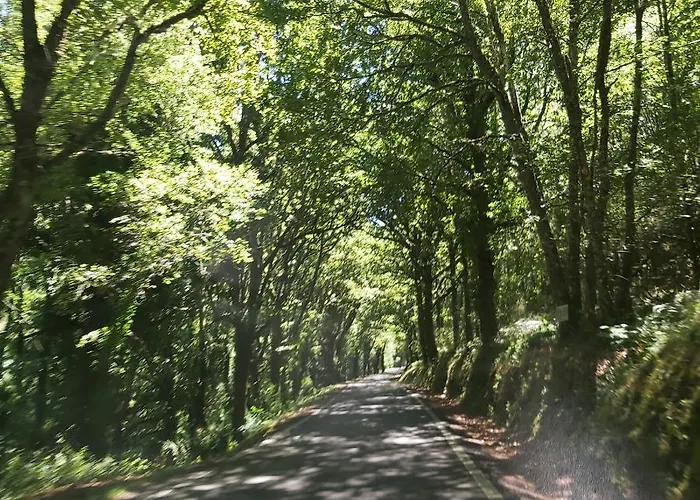 Casa Peleteiro Ribeira Sacra 펜션 *